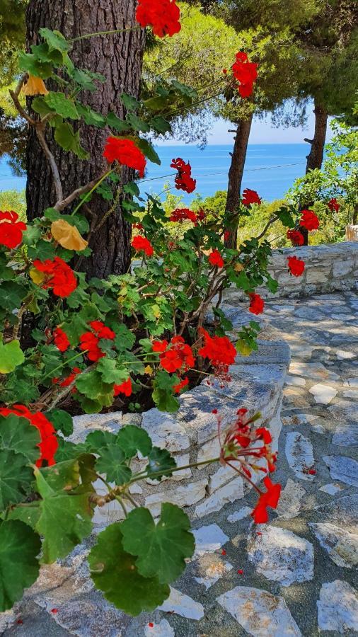 Captain Mike'S Villa Sívota Exteriér fotografie